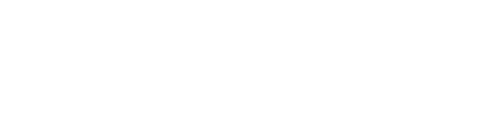 Premium Energy